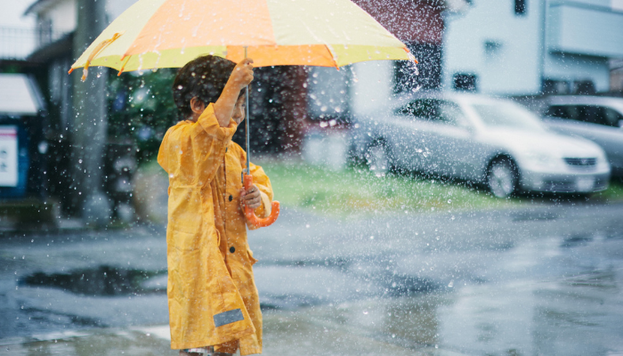 雨に濡れた