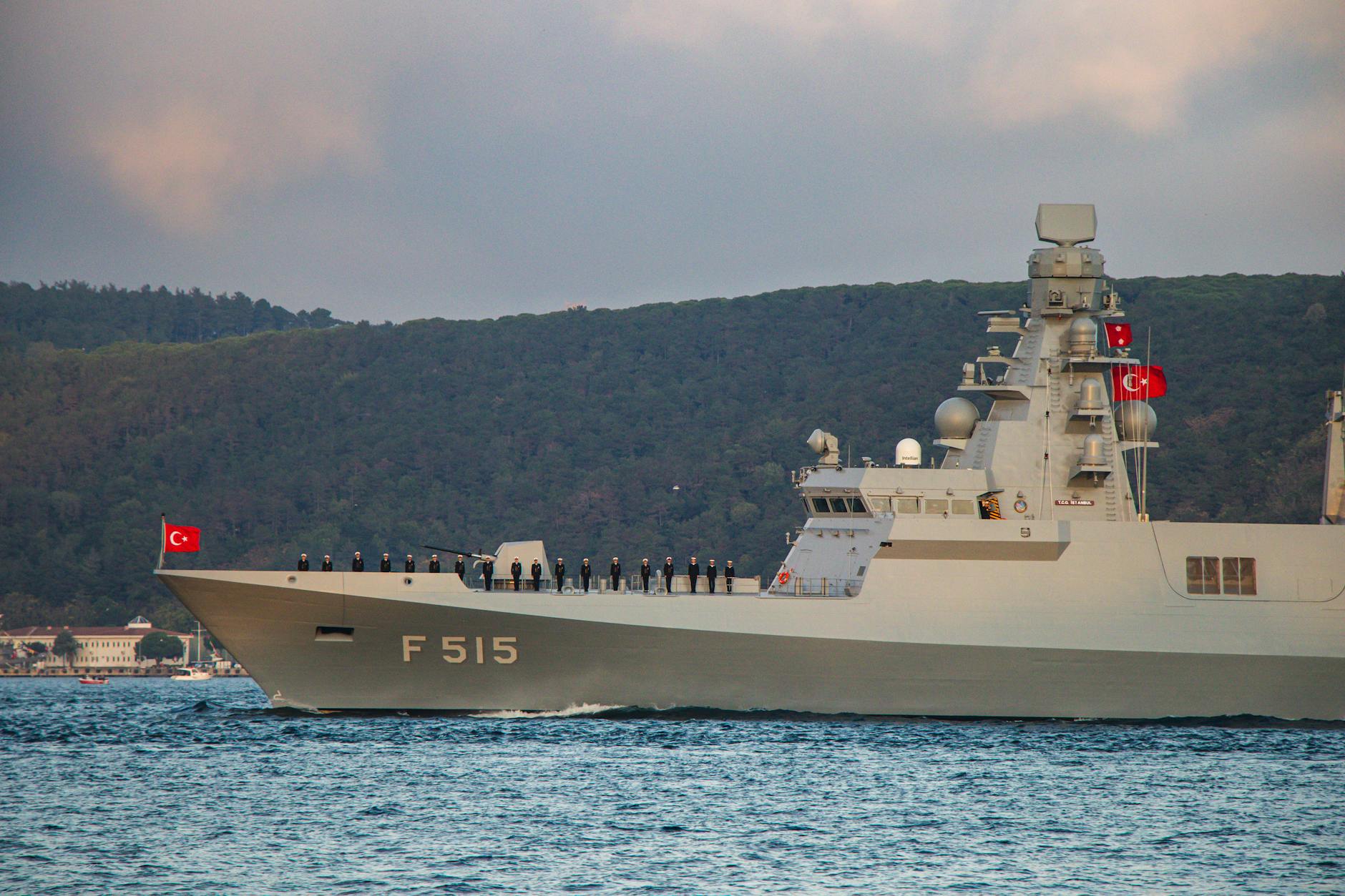 合同観艦式とは？目的と参加国の解説