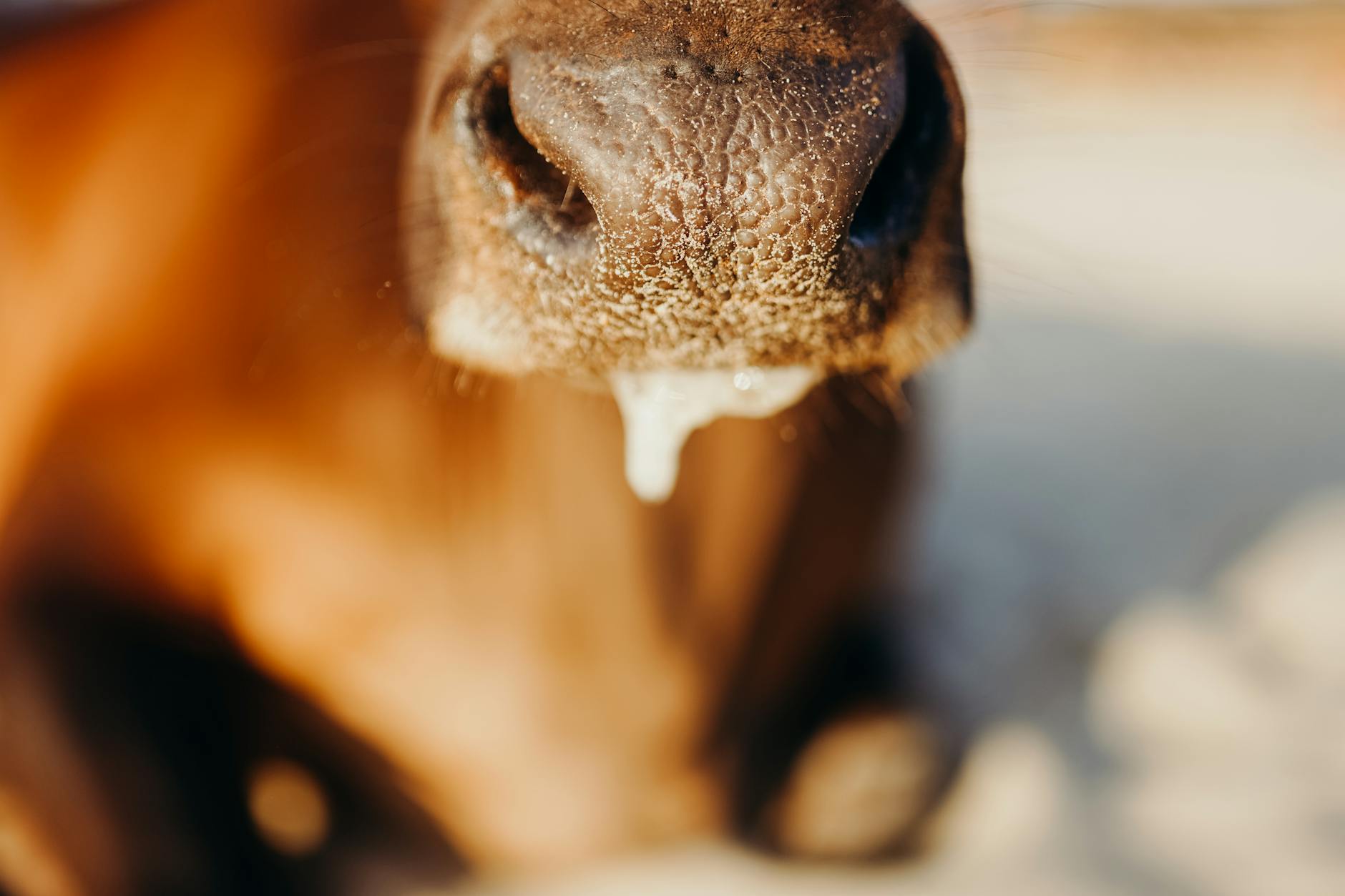生活保護を受けている人のリアルな暮らし