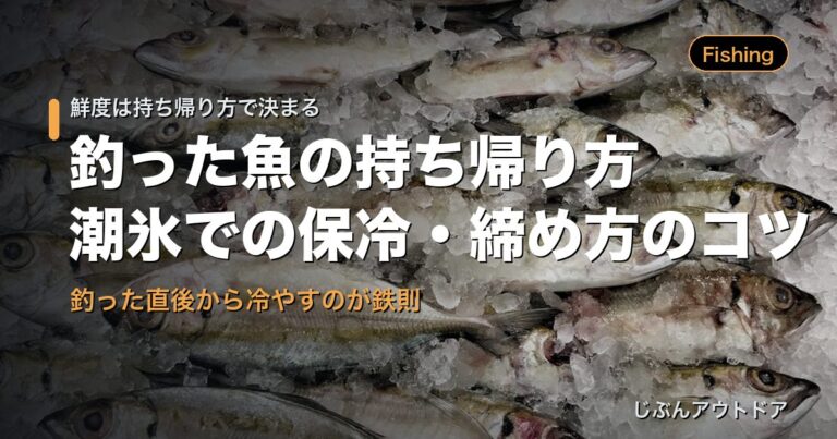 釣った魚の持ち帰り方
