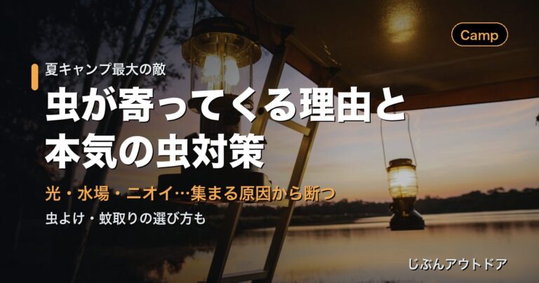 虫が寄ってくる理由と対策