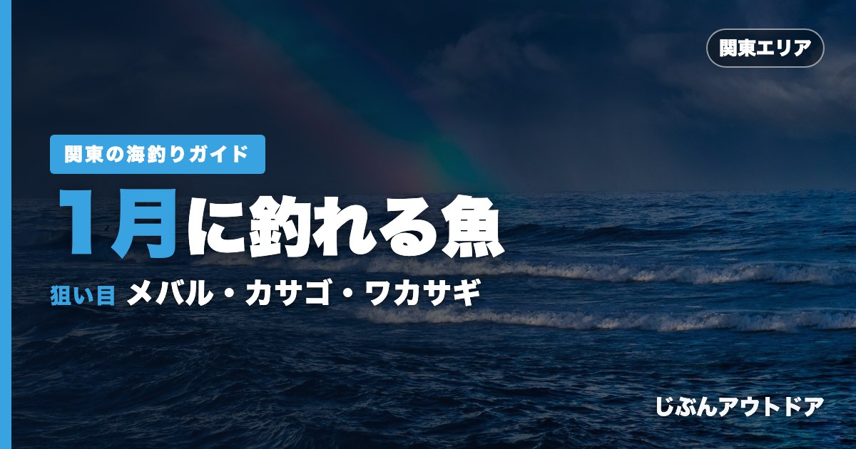 関東1月に釣れる魚