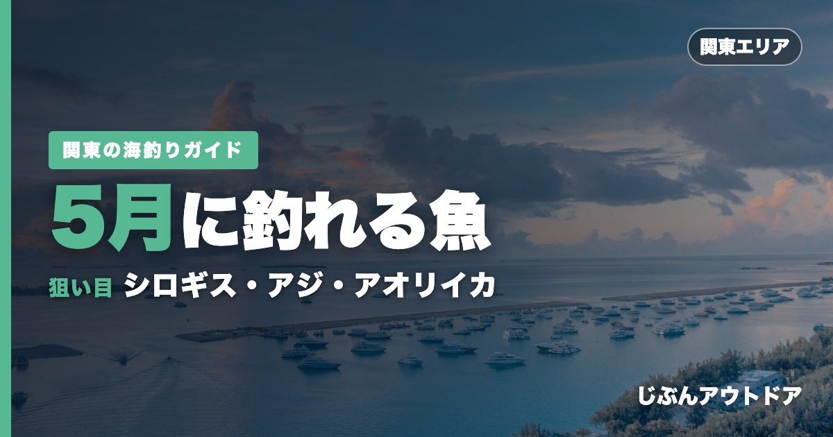 関東5月に釣れる魚