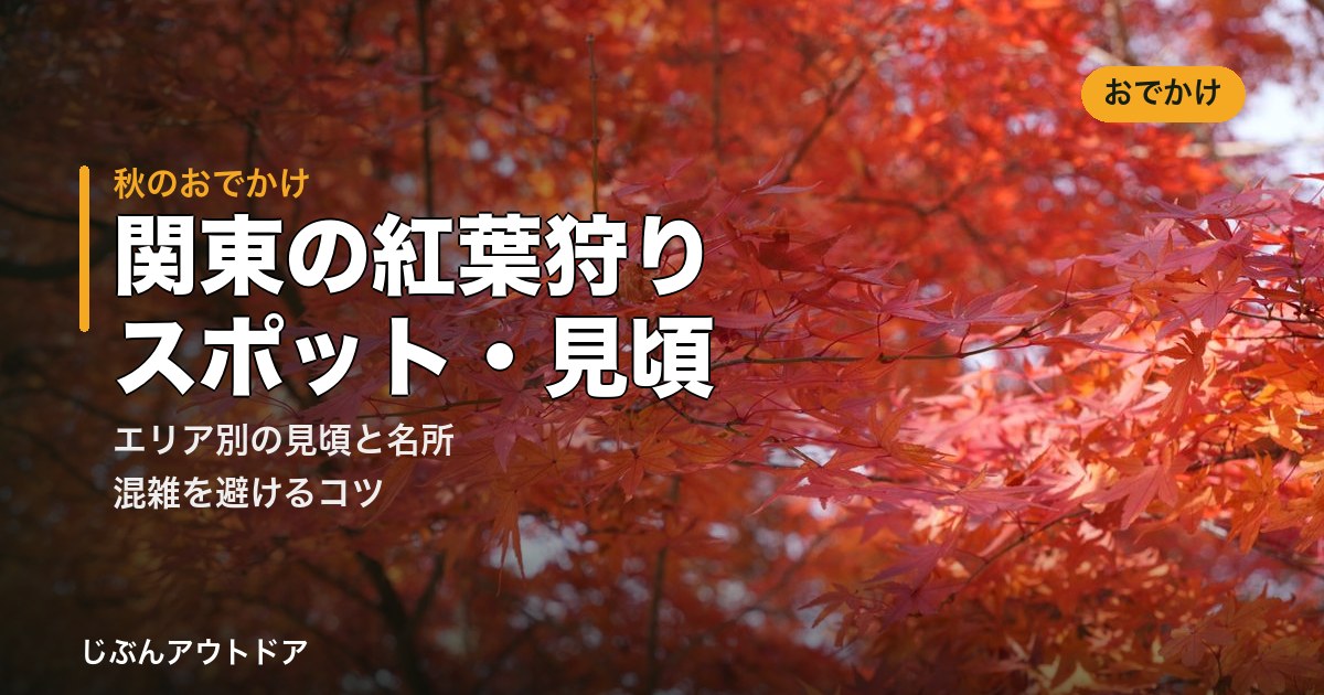鮮やかに色づいた紅葉のもみじ