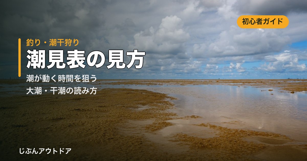 干潮で砂浜が広く現れた干潟の風景と潮見表の見方